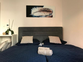 Apartment Brno centrum with private parking